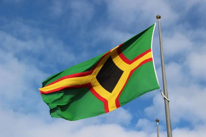 Skogfinske flagget.jpg